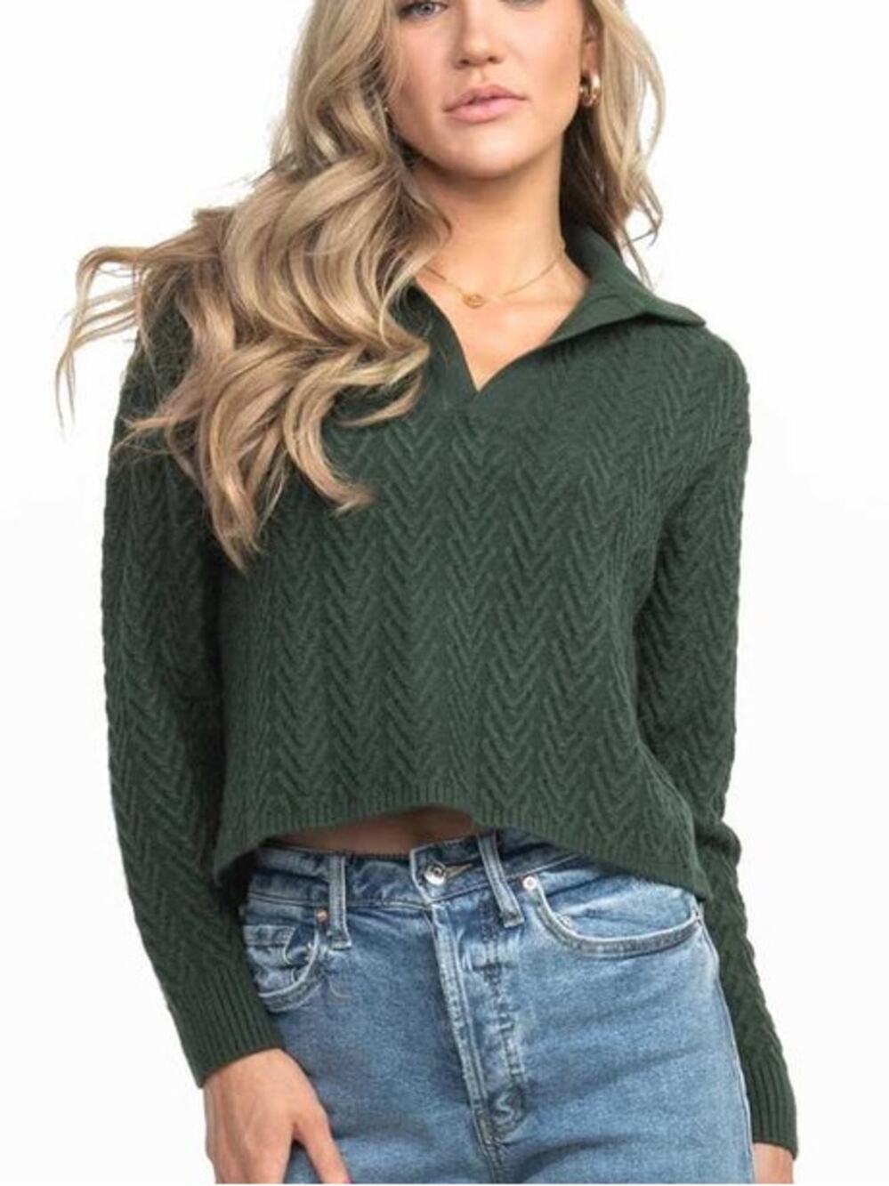 New $70 Southern Shirt Preppy Textured Knit Polo Sweater Top Green Small NWT